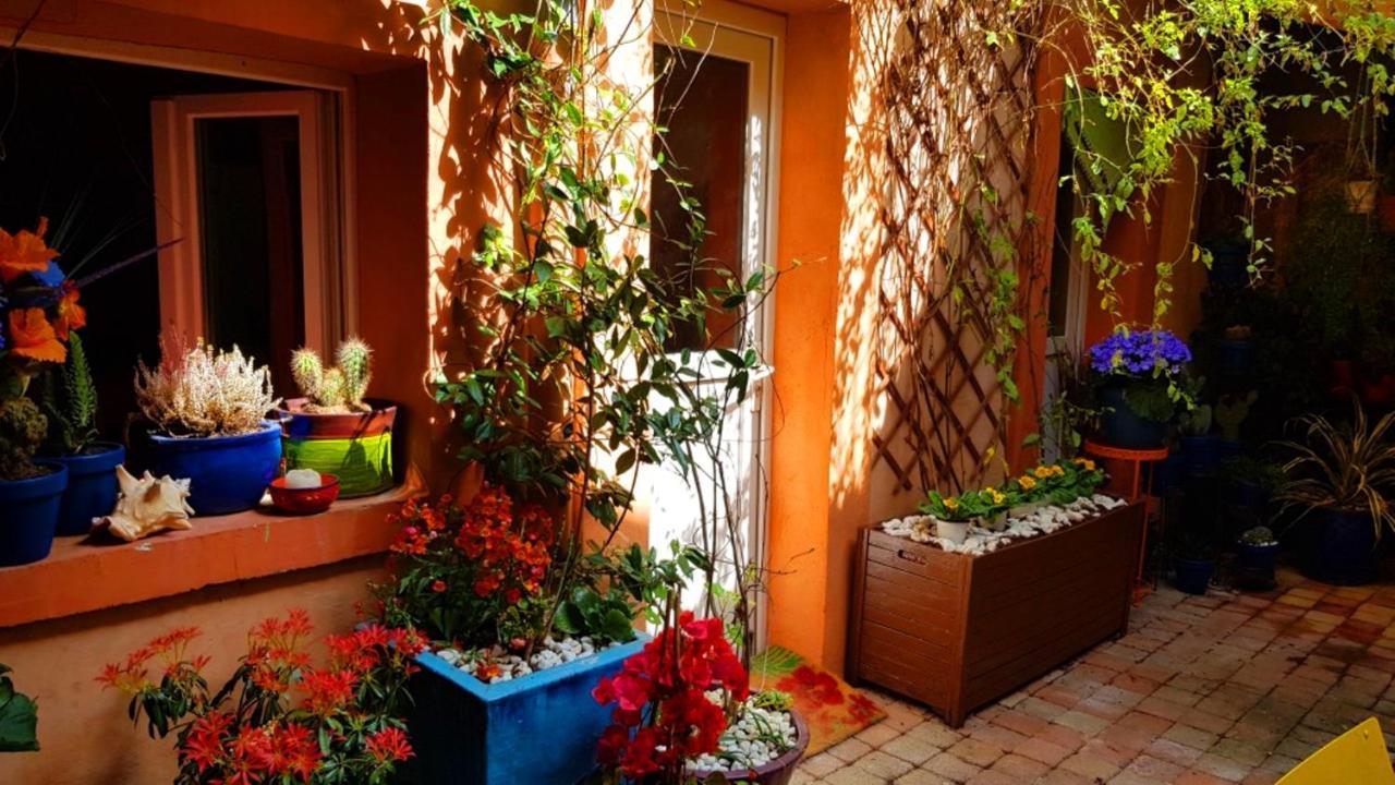 Petit Patio En Centre Ville Nîmes Esterno foto